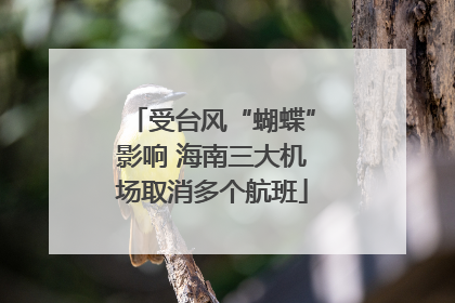受台风“蝴蝶”影响 海南三大机场取消多个航班