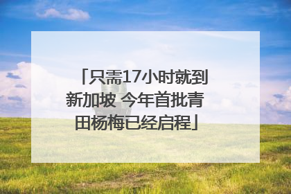 只需17小时就到新加坡 今年首批青田杨梅已经启程