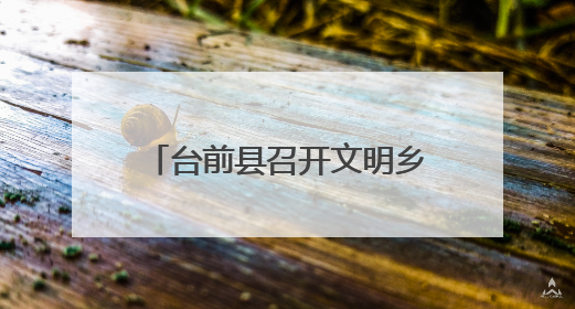 台前县召开文明乡风建设现场推进会