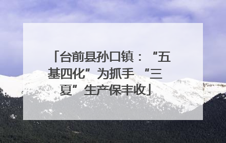 台前县孙口镇：“五基四化”为抓手 “三夏”生产保丰收