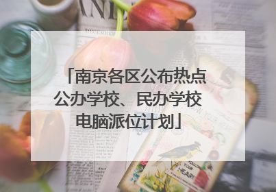 南京各区公布热点公办学校、民办学校电脑派位计划