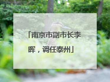 南京市副市长李晖，调任泰州