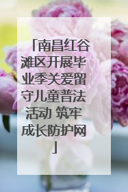 南昌红谷滩区开展毕业季关爱留守儿童普法活动 筑牢成长防护网