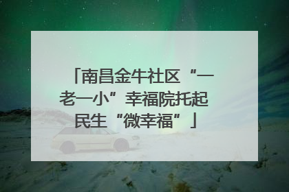 南昌金牛社区“一老一小”幸福院托起民生“微幸福”