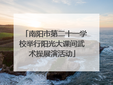 南阳市第二十一学校举行阳光大课间武术操展演活动