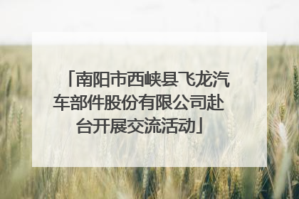 南阳市西峡县飞龙汽车部件股份有限公司赴台开展交流活动