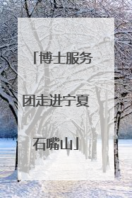 博士服务团走进宁夏石嘴山