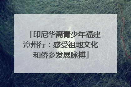 印尼华裔青少年福建漳州行：感受祖地文化和侨乡发展脉搏