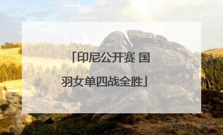 印尼公开赛 国羽女单四战全胜