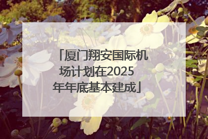 厦门翔安国际机场计划在2025年年底基本建成