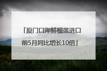 厦门口岸鲜榴莲进口 前5月同比增长10倍