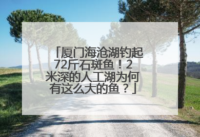 厦门海沧湖钓起72斤石斑鱼！2米深的人工湖为何有这么大的鱼？