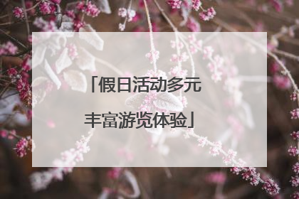 假日活动多元 丰富游览体验