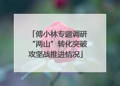 傅小林专题调研“两山”转化突破攻坚战推进情况