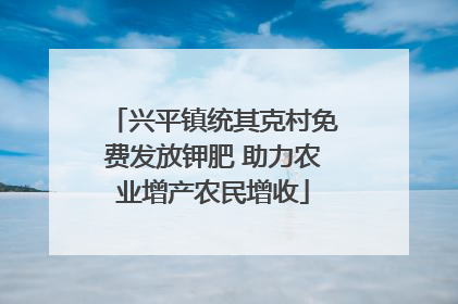 兴平镇统其克村免费发放钾肥 助力农业增产农民增收