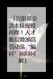 兴银基金洪木妹规模再降！人才断层叠加高管动荡“偏科”困局何解