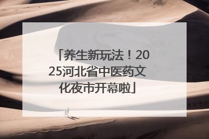 养生新玩法！2025河北省中医药文化夜市开幕啦