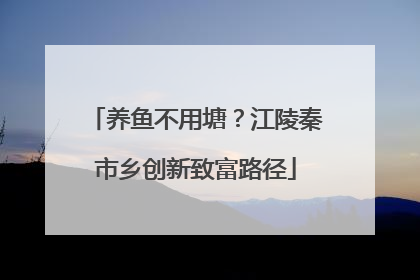养鱼不用塘？江陵秦市乡创新致富路径