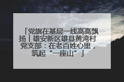 党旗在基层一线高高飘扬丨雄安新区雄县黄湾村党支部：在老百姓心里，筑起“一座山”