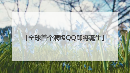 全球首个满级QQ即将诞生
