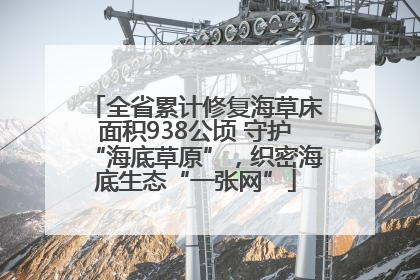 全省累计修复海草床面积938公顷 守护“海底草原”，织密海底生态“一张网”
