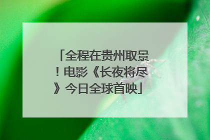 全程在贵州取景！电影《长夜将尽》今日全球首映