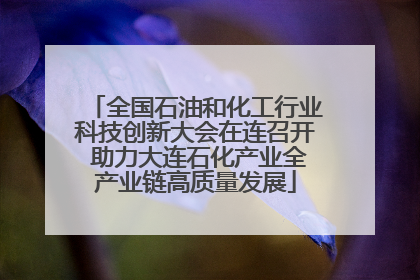 全国石油和化工行业科技创新大会在连召开 助力大连石化产业全产业链高质量发展