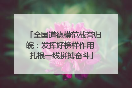 全国道德模范载誉归皖：发挥好榜样作用 扎根一线拼搏奋斗