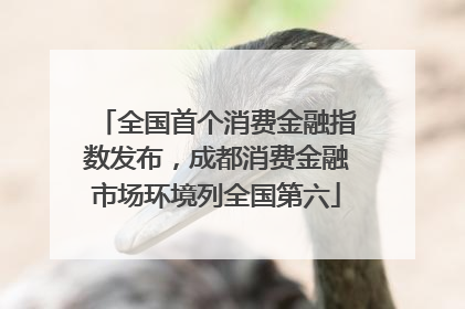 全国首个消费金融指数发布，成都消费金融市场环境列全国第六