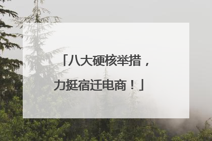 八大硬核举措，力挺宿迁电商！