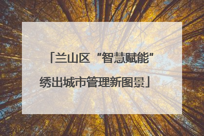 兰山区“智慧赋能”绣出城市管理新图景