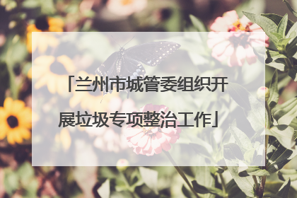 兰州市城管委组织开展垃圾专项整治工作