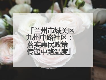 兰州市城关区九州中路社区：落实惠民政策 传递中路温度