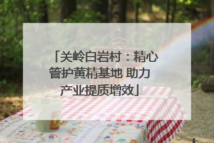 关岭白岩村：精心管护黄精基地 助力产业提质增效