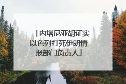 内塔尼亚胡证实以色列打死伊朗情报部门负责人