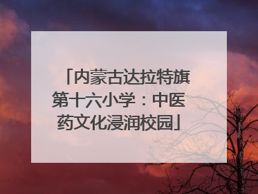 内蒙古达拉特旗第十六小学：中医药文化浸润校园