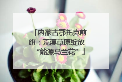 内蒙古鄂托克前旗：荒漠草原绽放“能源马兰花”