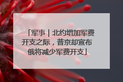 军事｜北约增加军费开支之际，普京却宣布俄将减少军费开支