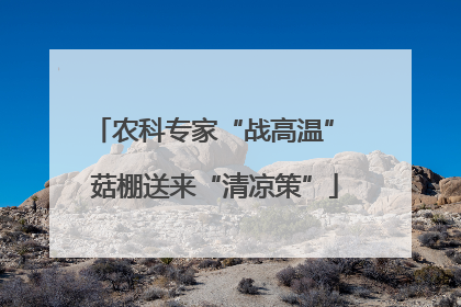 农科专家“战高温” 菇棚送来“清凉策”