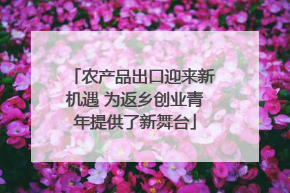 农产品出口迎来新机遇 为返乡创业青年提供了新舞台
