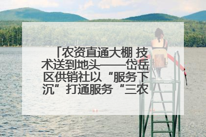 农资直通大棚 技术送到地头——岱岳区供销社以“服务下沉”打通服务“三农”最后一公里
