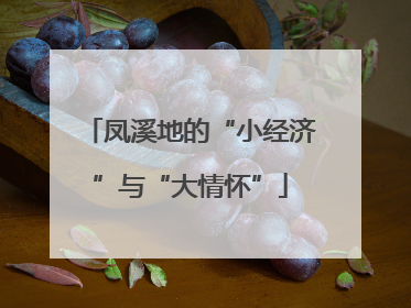 凤溪地的“小经济”与“大情怀”