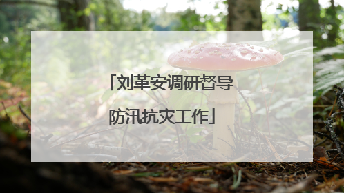 刘革安调研督导防汛抗灾工作