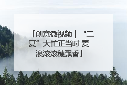 创意微视频｜“三夏”大忙正当时 麦浪滚滚穗飘香