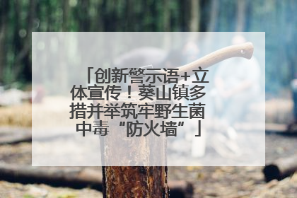 创新警示语+立体宣传！葵山镇多措并举筑牢野生菌中毒“防火墙”