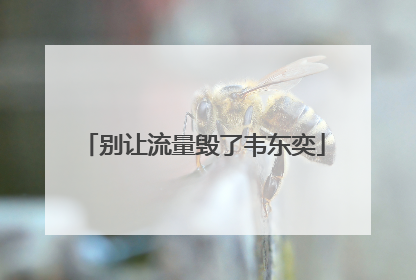 别让流量毁了韦东奕