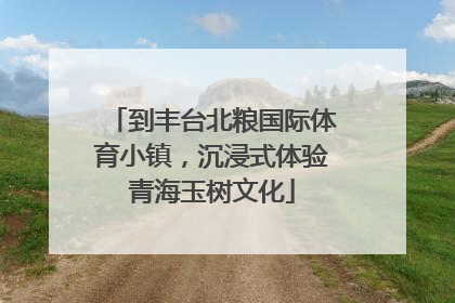 到丰台北粮国际体育小镇，沉浸式体验青海玉树文化