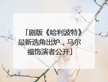 剧版《哈利波特》最新选角出炉，马尔福饰演者公开