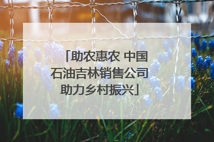 助农惠农 中国石油吉林销售公司助力乡村振兴