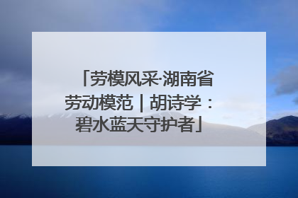 劳模风采·湖南省劳动模范｜胡诗学：碧水蓝天守护者
